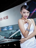 The 4th Zhengzhou International Auto Show(20)