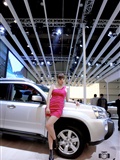 The 4th Zhengzhou International Auto Show(13)