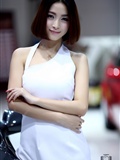 The 4th Zhengzhou International Auto Show(4)