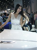 2011 Haixi Auto Expo beautiful car model(48)