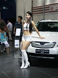 2011 Haixi Auto Expo beauty car model beauty model(20)