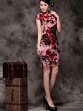 [online collection] 2013.12.19 sexy cheongsam model(10)