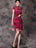 [online collection] 2013.12.19 sexy cheongsam model(11)