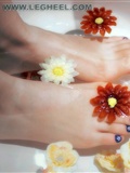 Beautiful feet series 2 high definition pictures(5)