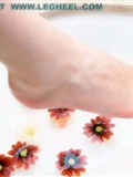 Beautiful feet series 2 high definition pictures(6)