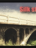 Exposed in the bridge of silk stockings(1)