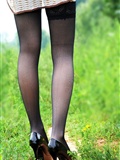 Passionate field Xinxin set of silk stockings beauty(6)