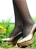 Passionate field Xinxin set of silk stockings beauty(8)