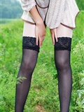 Passionate field Xinxin set of silk stockings beauty(15)